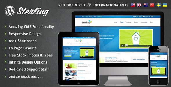 responsive wordpress theme