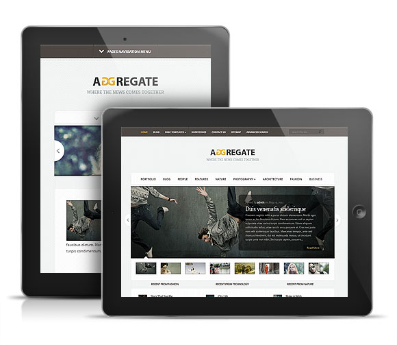 responsive wordpress theme